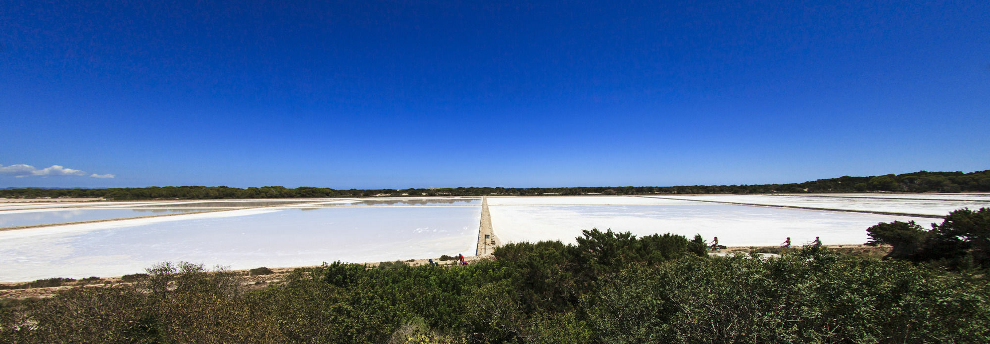 דירות לה סבינה Cas Saliners - Sa Revista By Formentera Mar מראה חיצוני תמונה